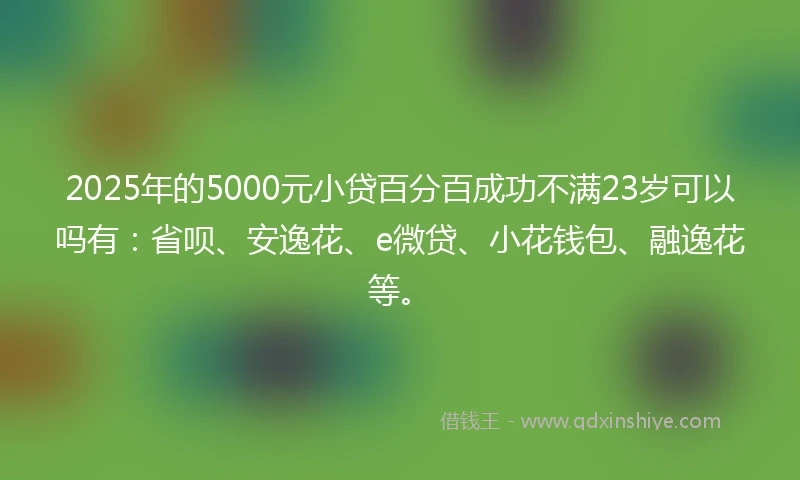2025年的5000元小贷百分百成功不满23岁可以吗有：省呗、安逸花、e微贷、小花钱包、融逸花等。