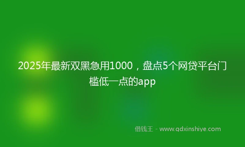 2025年最新双黑急用1000，盘点5个网贷平台门槛低一点的app