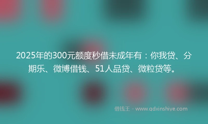 2025年的300元额度秒借未成年有：你我贷、分期乐、微博借钱、51人品贷、微粒贷等。