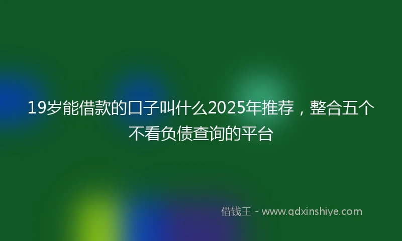 19岁能借款的口子叫什么2025年推荐，整合五个不看负债查询的平台