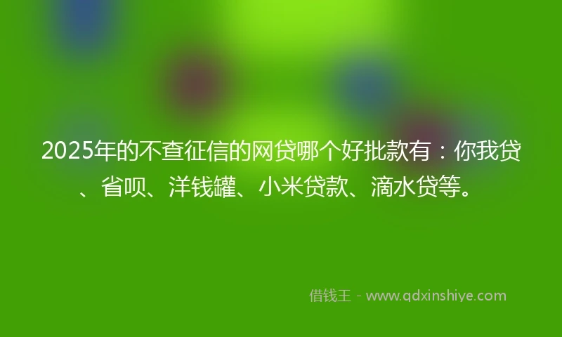2025年的不查征信的网贷哪个好批款有：你我贷、省呗、洋钱罐、小米贷款、滴水贷等。
