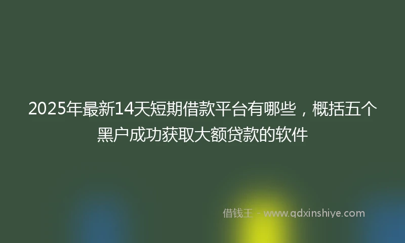 2025年最新14天短期借款平台有哪些，概括五个黑户成功获取大额贷款的软件
