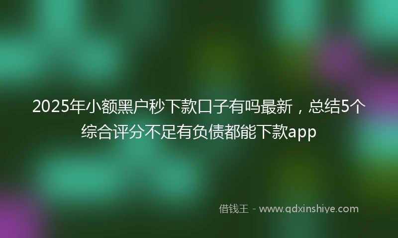 2025年小额黑户秒下款口子有吗最新，总结5个综合评分不足有负债都能下款app