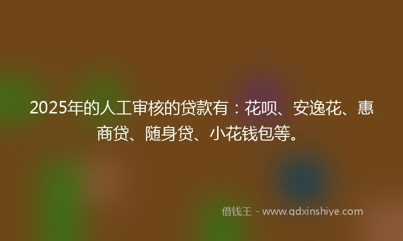 2025年的人工审核的贷款有：花呗、安逸花、惠商贷、随身贷、小花钱包等。
