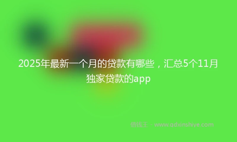 2025年最新一个月的贷款有哪些，汇总5个11月独家贷款的app