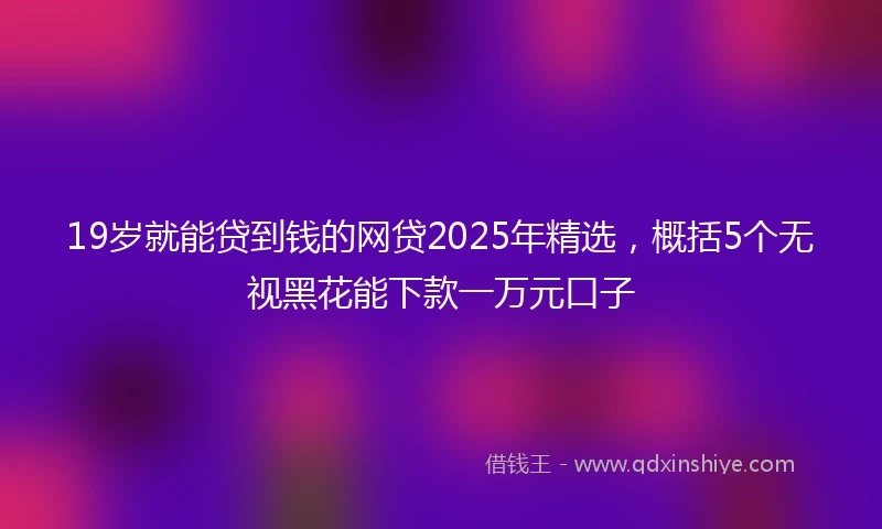 19岁就能贷到钱的网贷2025年精选，概括5个无视黑花能下款一万元口子