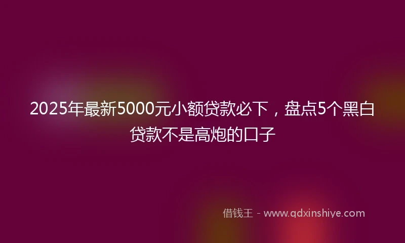 2025年最新5000元小额贷款必下，盘点5个黑白贷款不是高炮的口子