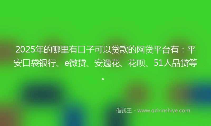 2025年的哪里有口子可以贷款的网贷平台有：平安口袋银行、e微贷、安逸花、花呗、51人品贷等。
