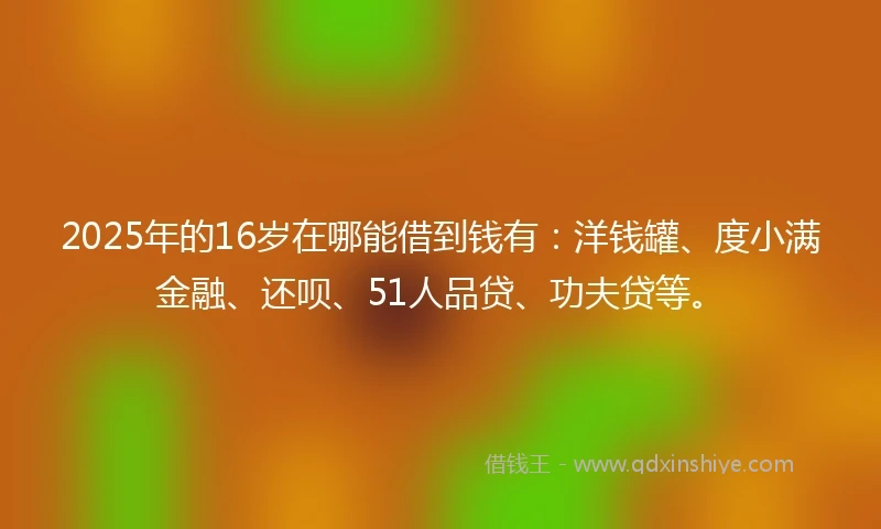 2025年的16岁在哪能借到钱有：洋钱罐、度小满金融、还呗、51人品贷、功夫贷等。