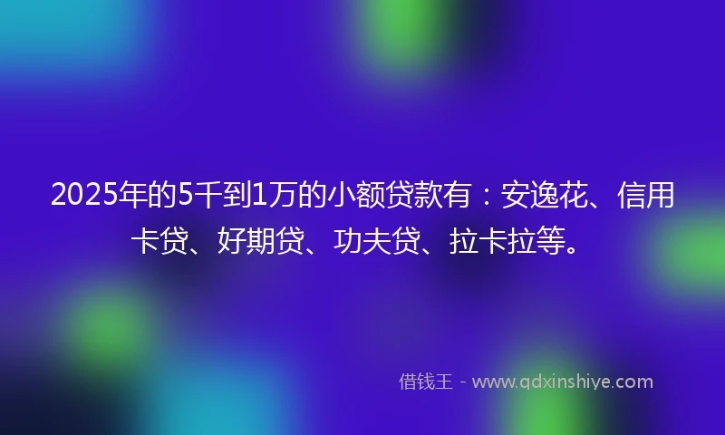2025年的5千到1万的小额贷款有：安逸花、信用卡贷、好期贷、功夫贷、拉卡拉等。