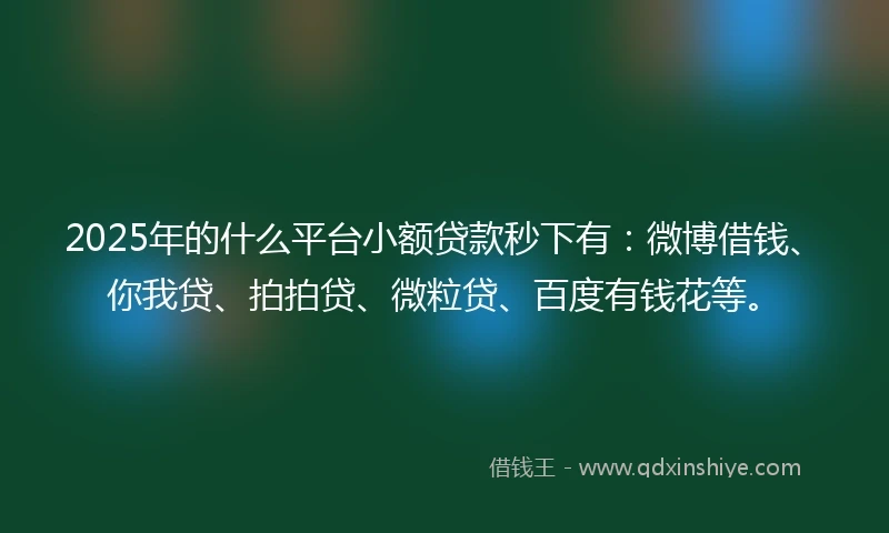 2025年的什么平台小额贷款秒下有：微博借钱、你我贷、拍拍贷、微粒贷、百度有钱花等。