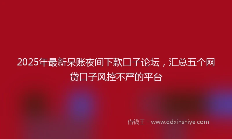 2025年最新呆账夜间下款口子论坛，汇总五个网贷口子风控不严的平台