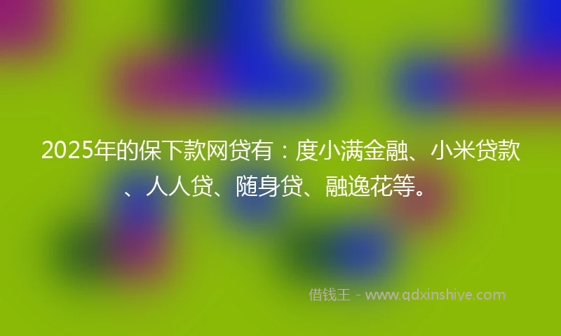 2025年的保下款网贷有：度小满金融、小米贷款、人人贷、随身贷、融逸花等。