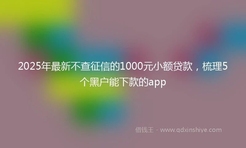 2025年最新不查征信的1000元小额贷款，梳理5个黑户能下款的app