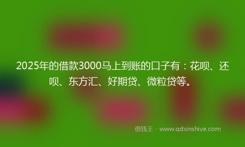 2025年的借款3000马上到账的口子有：花呗、还呗、东方汇、好期贷、微粒贷等。