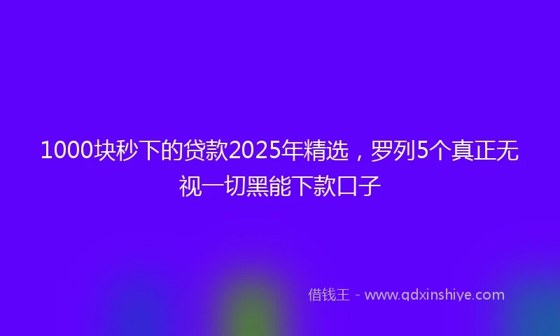 1000块秒下的贷款2025年精选，罗列5个真正无视一切黑能下款口子