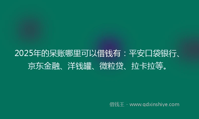 2025年的呆账哪里可以借钱有：平安口袋银行、京东金融、洋钱罐、微粒贷、拉卡拉等。