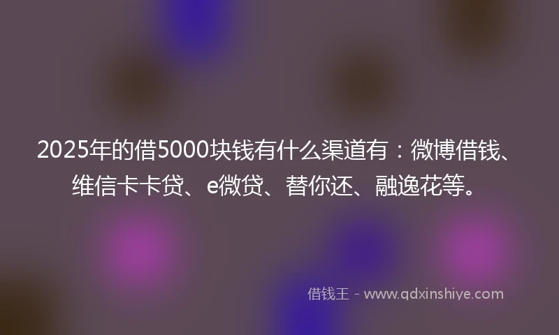 2025年的借5000块钱有什么渠道有：微博借钱、维信卡卡贷、e微贷、替你还、融逸花等。