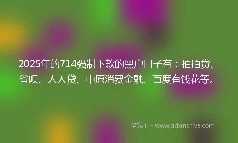 2025年的714强制下款的黑户口子有：拍拍贷、省呗、人人贷、中原消费金融、百度有钱花等。