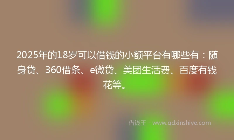 2025年的18岁可以借钱的小额平台有哪些有：随身贷、360借条、e微贷、美团生活费、百度有钱花等。
