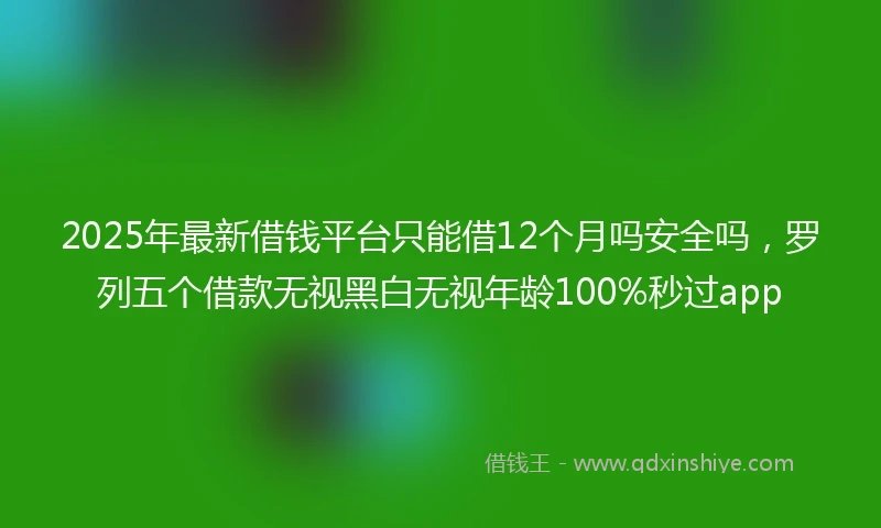2025年最新借钱平台只能借12个月吗安全吗，罗列五个借款无视黑白无视年龄100%秒过app