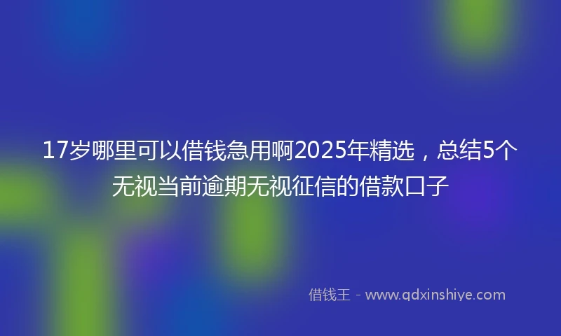 17岁哪里可以借钱急用啊2025年精选，总结5个无视当前逾期无视征信的借款口子