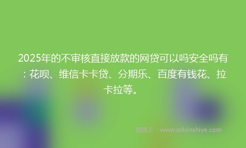 2025年的不审核直接放款的网贷可以吗安全吗有：花呗、维信卡卡贷、分期乐、百度有钱花、拉卡拉等。