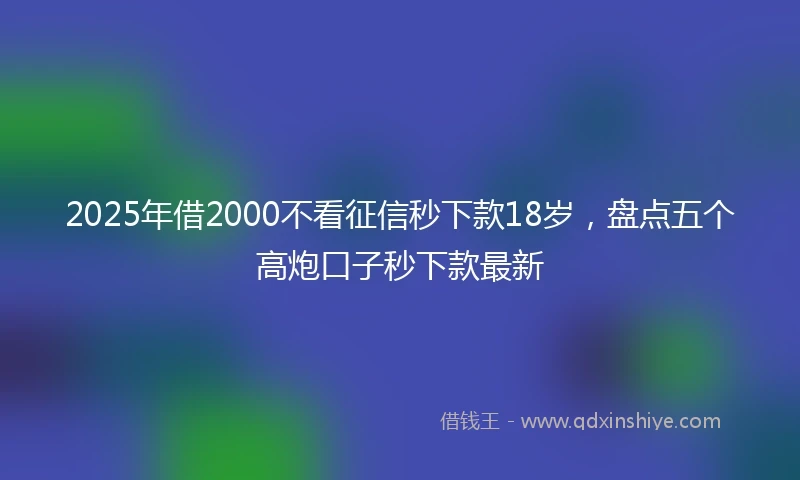 2025年借2000不看征信秒下款18岁，盘点五个高炮口子秒下款最新