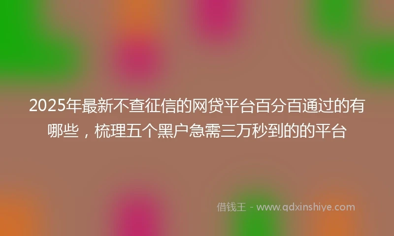 2025年最新不查征信的网贷平台百分百通过的有哪些，梳理五个黑户急需三万秒到的的平台