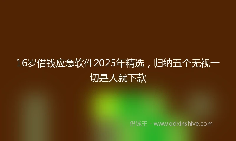 16岁借钱应急软件2025年精选，归纳五个无视一切是人就下款