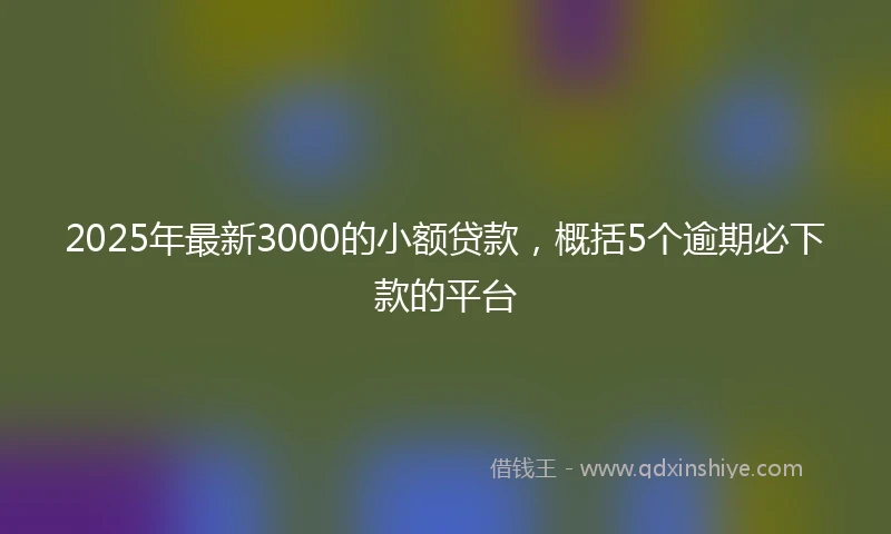 2025年最新3000的小额贷款，概括5个逾期必下款的平台