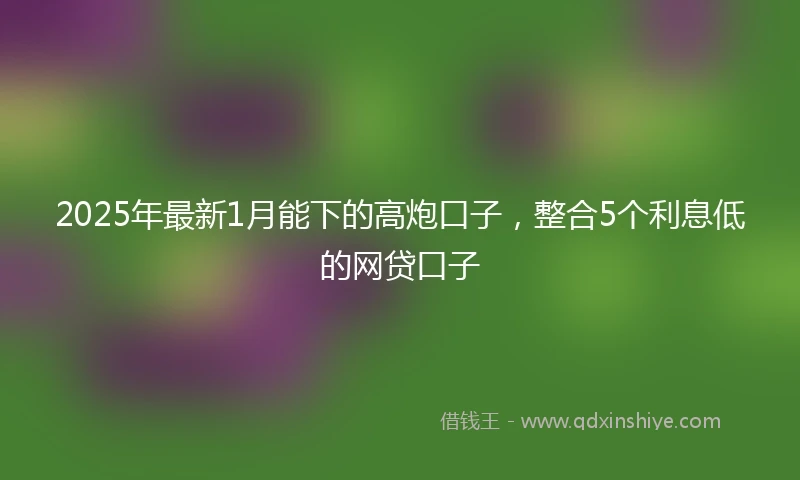 2025年最新1月能下的高炮口子，整合5个利息低的网贷口子