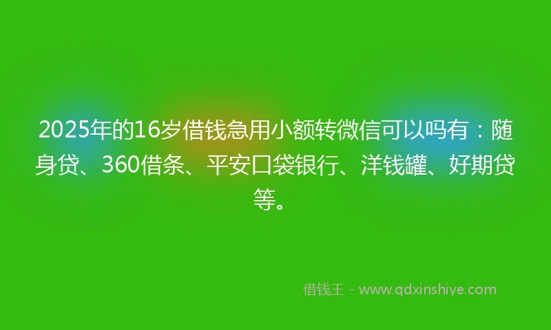 2025年的16岁借钱急用小额转微信可以吗有：随身贷、360借条、平安口袋银行、洋钱罐、好期贷等。