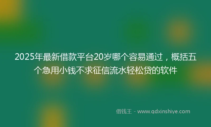2025年最新借款平台20岁哪个容易通过，概括五个急用小钱不求征信流水轻松贷的软件