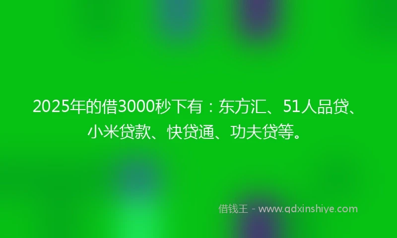 2025年的借3000秒下有：东方汇、51人品贷、小米贷款、快贷通、功夫贷等。
