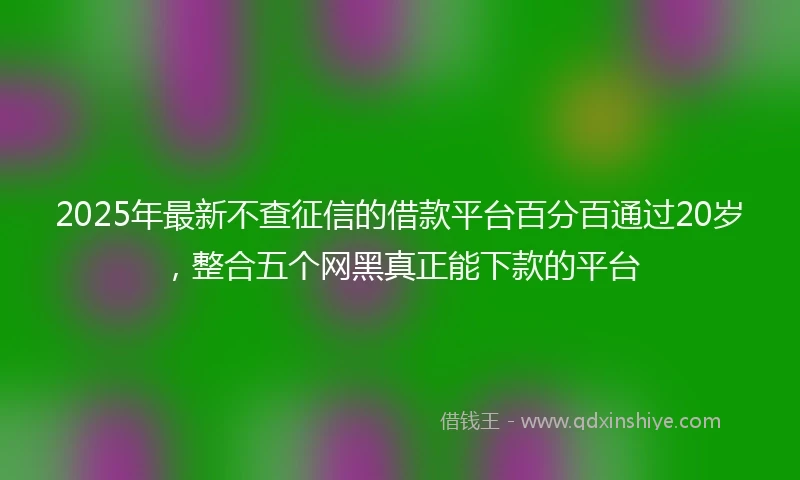 2025年最新不查征信的借款平台百分百通过20岁，整合五个网黑真正能下款的平台