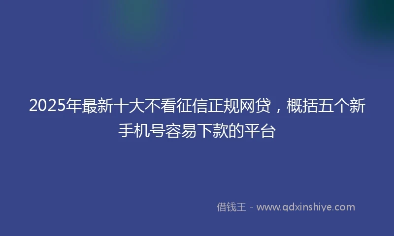 2025年最新十大不看征信正规网贷，概括五个新手机号容易下款的平台