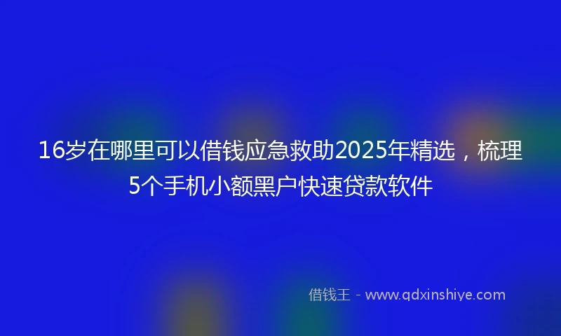16岁在哪里可以借钱应急救助2025年精选，梳理5个手机小额黑户快速贷款软件