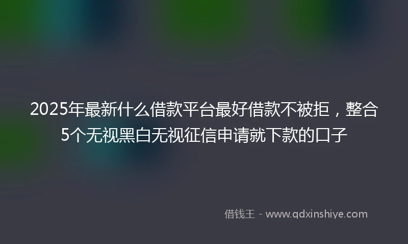 2025年最新什么借款平台最好借款不被拒，整合5个无视黑白无视征信申请就下款的口子