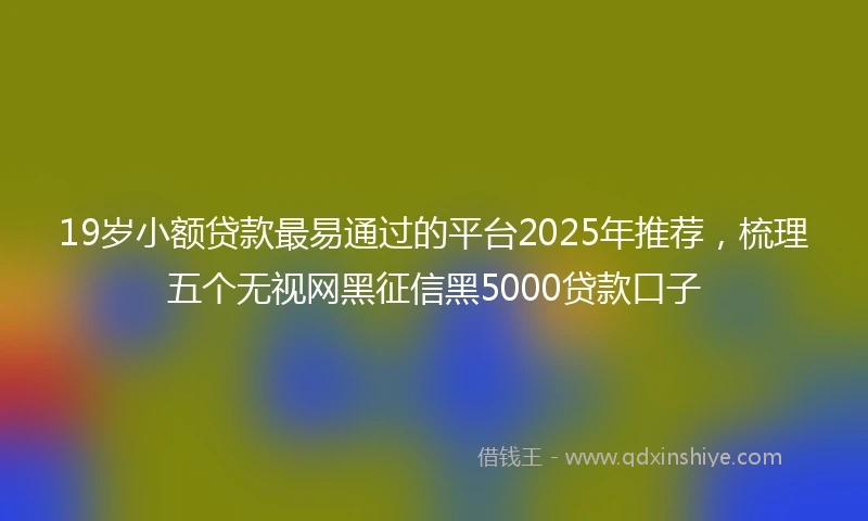 19岁小额贷款最易通过的平台2025年推荐，梳理五个无视网黑征信黑5000贷款口子