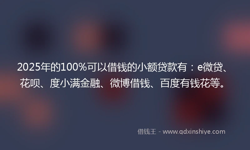 2025年的100%可以借钱的小额贷款有：e微贷、花呗、度小满金融、微博借钱、百度有钱花等。