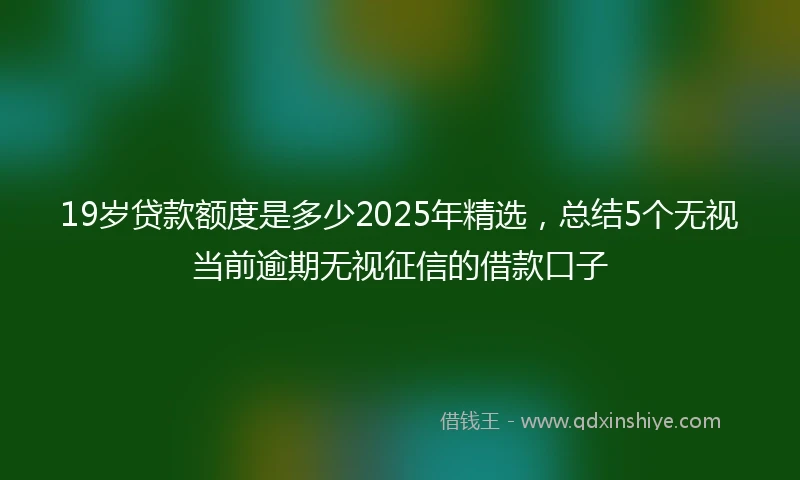 19岁贷款额度是多少2025年精选，总结5个无视当前逾期无视征信的借款口子