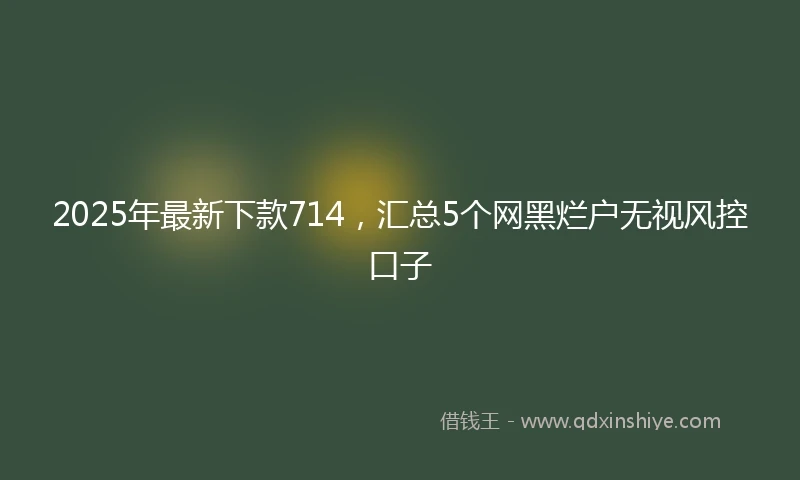 2025年最新下款714，汇总5个网黑烂户无视风控口子