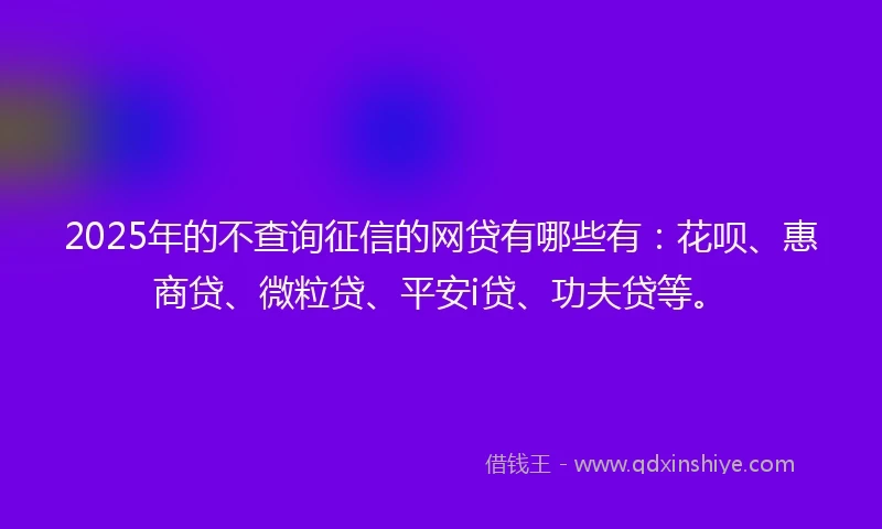 2025年的不查询征信的网贷有哪些有：花呗、惠商贷、微粒贷、平安i贷、功夫贷等。