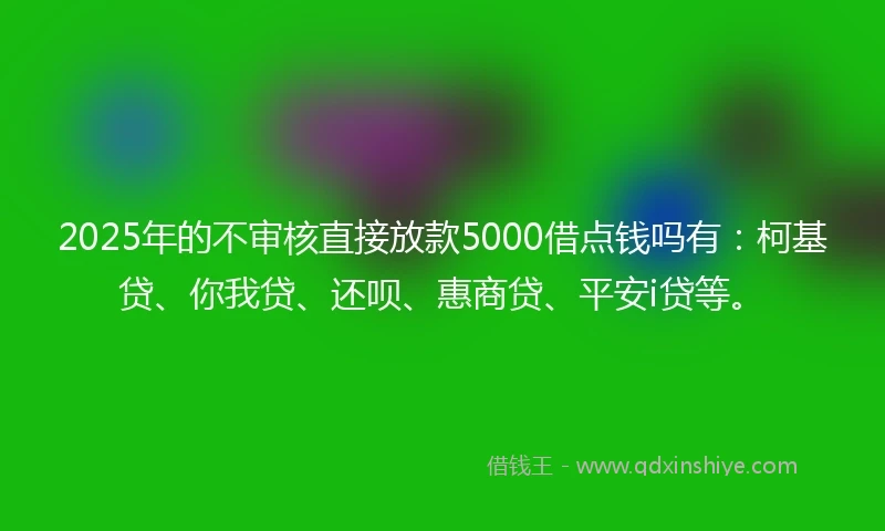2025年的不审核直接放款5000借点钱吗有：柯基贷、你我贷、还呗、惠商贷、平安i贷等。