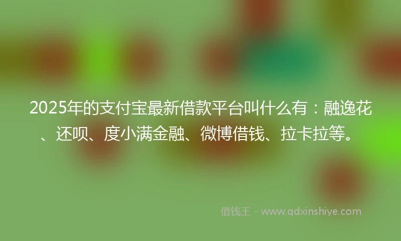 2025年的支付宝最新借款平台叫什么有：融逸花、还呗、度小满金融、微博借钱、拉卡拉等。