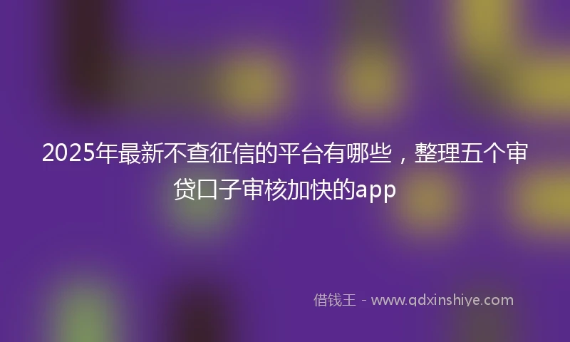 2025年最新不查征信的平台有哪些，整理五个审贷口子审核加快的app