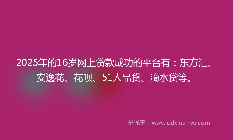 2025年的16岁网上贷款成功的平台有：东方汇、安逸花、花呗、51人品贷、滴水贷等。