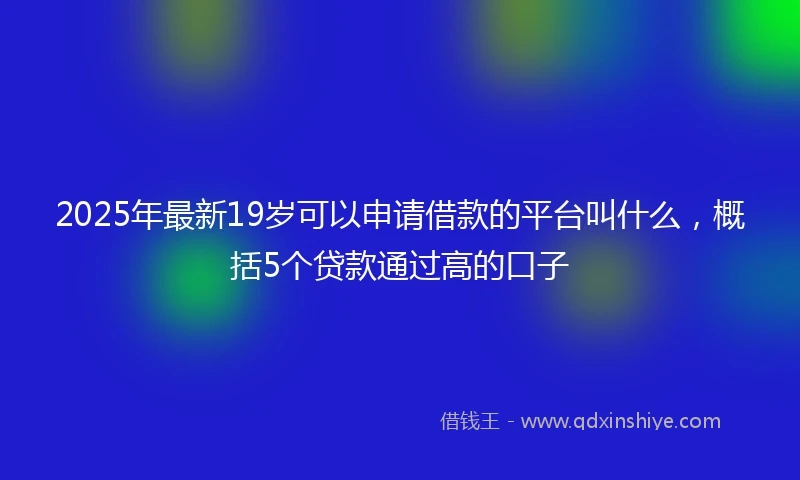 2025年最新19岁可以申请借款的平台叫什么，概括5个贷款通过高的口子