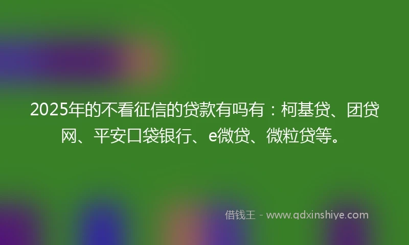2025年的不看征信的贷款有吗有：柯基贷、团贷网、平安口袋银行、e微贷、微粒贷等。